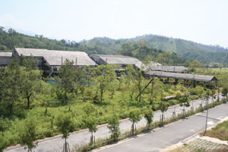 東勢林場標題圖片