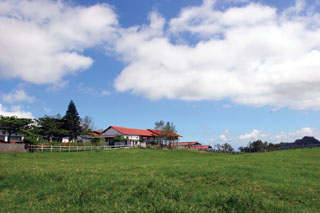 鹿野初鹿牧場標題圖片