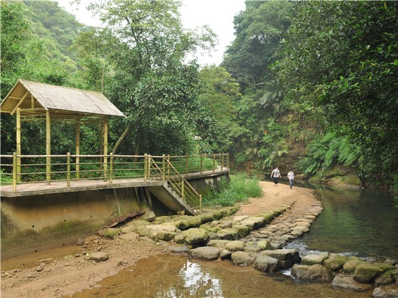 七堵瑪陵坑富民親水步道/瑪西賞桐步道標題圖片